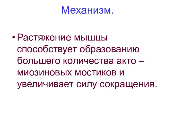 Механизм. Растяжение мышцы способствует образованию большего количества акто – миозиновых мостиков и увеличивает силу сокращения.