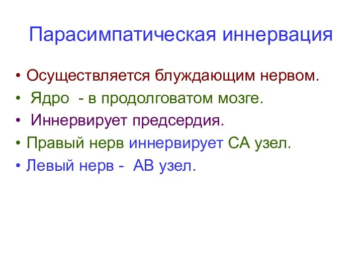 Парасимпатическая иннервация Осуществляется блуждающим нервом. Ядро - в продолговатом мозге. Иннервирует