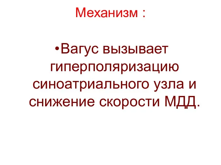 Механизм : Вагус вызывает гиперполяризацию синоатриального узла и снижение скорости МДД.