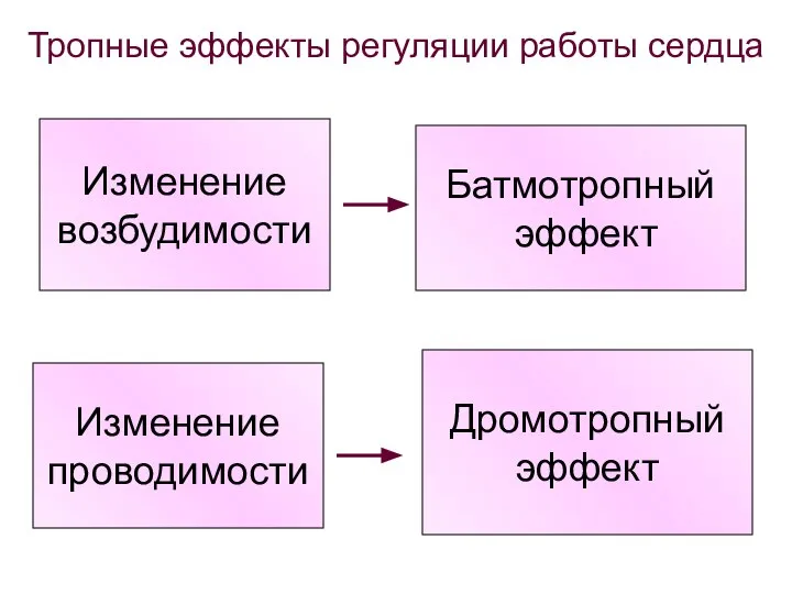 Изменение возбудимости Батмотропный эффект Изменение проводимости Дромотропный эффект Тропные эффекты регуляции работы сердца