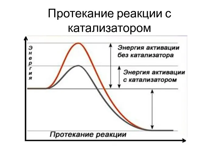 Протекание реакции с катализатором