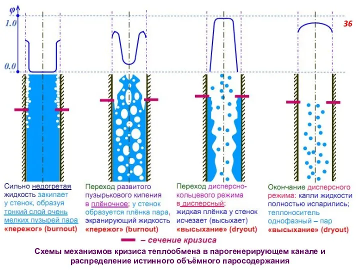 Схемы механизмов кризиса теплообмена в парогенерирующем канале и распределение истинного объёмного паросодержания 36