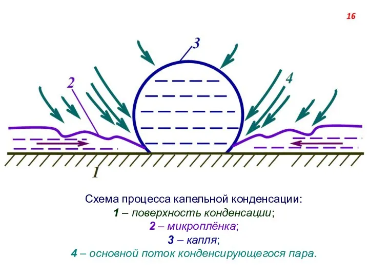 Схема процесса капельной конденсации: 1 – поверхность конденсации; 2 – микроплёнка;