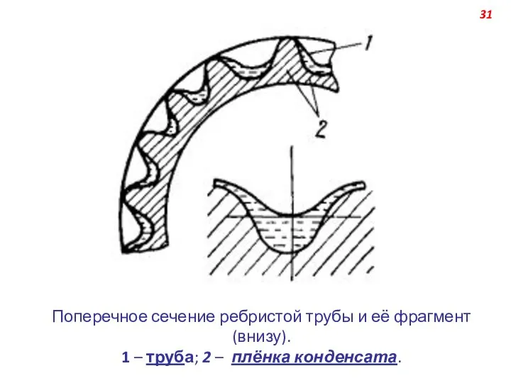 Поперечное сечение ребристой трубы и её фрагмент (внизу). 1 – труба; 2 – плёнка конденсата. 31