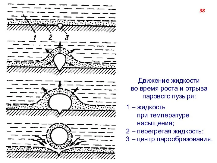 Движение жидкости во время роста и отрыва парового пузыря: 1 ‒