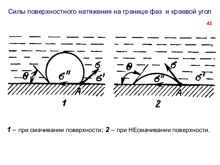 Силы поверхностного натяжения на границе фаз и краевой угол 1 ‒