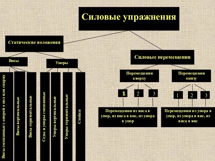 Силовые перемещения Висы Висы смешанные с опорой о пол или снаряд