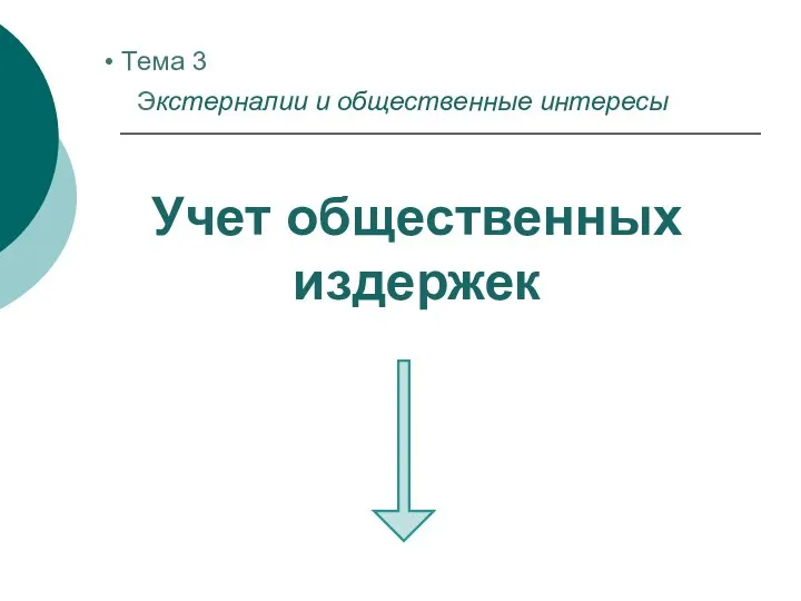 Учет общественных издержек Тема 3 Экстерналии и общественные интересы