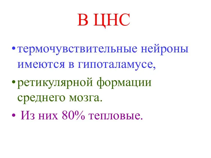 В ЦНС термочувствительные нейроны имеются в гипоталамусе, ретикулярной формации среднего мозга. Из них 80% тепловые.