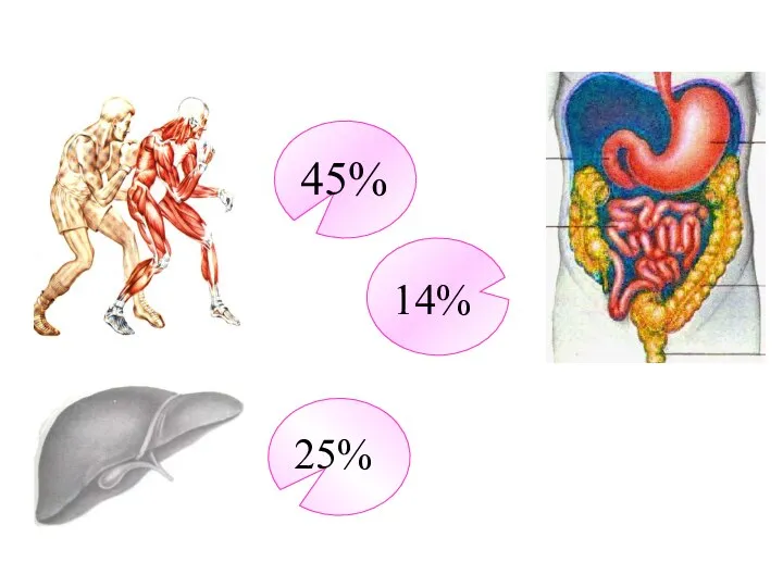 45% 25% 14%