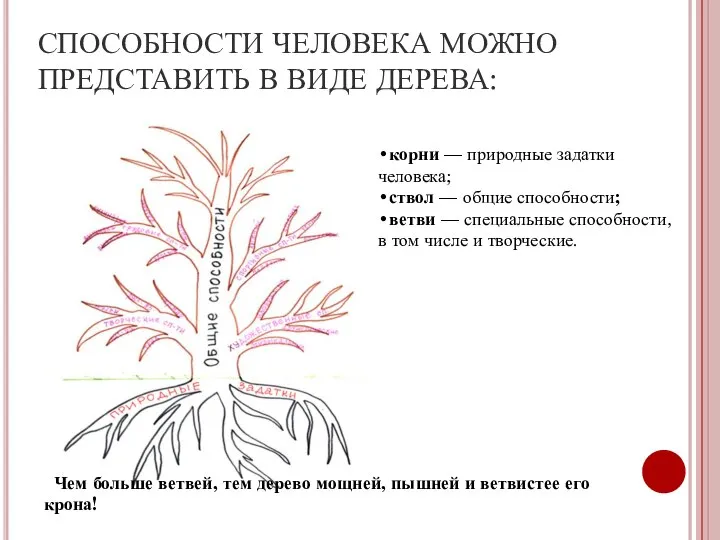 СПОСОБНОСТИ ЧЕЛОВЕКА МОЖНО ПРЕДСТАВИТЬ В ВИДЕ ДЕРЕВА: •корни — природные задатки