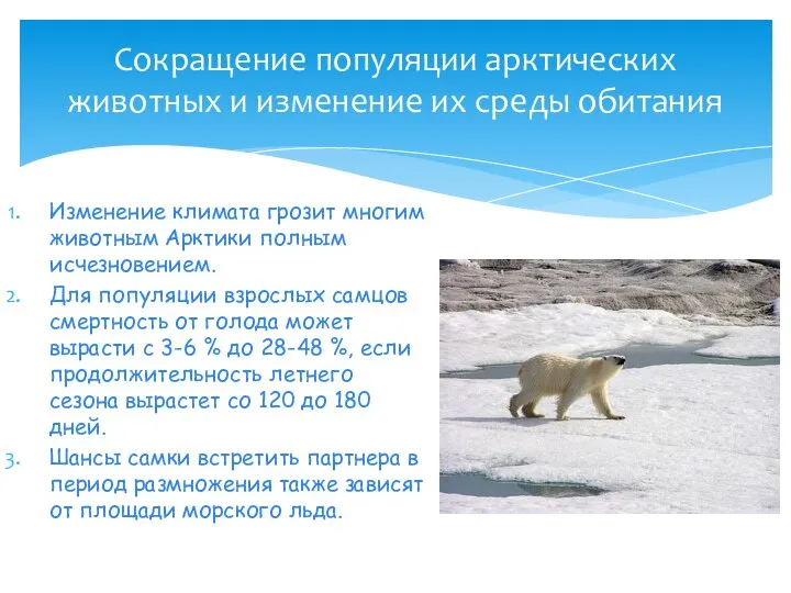 Изменение климата грозит многим животным Арктики полным исчезновением. Для популяции взрослых