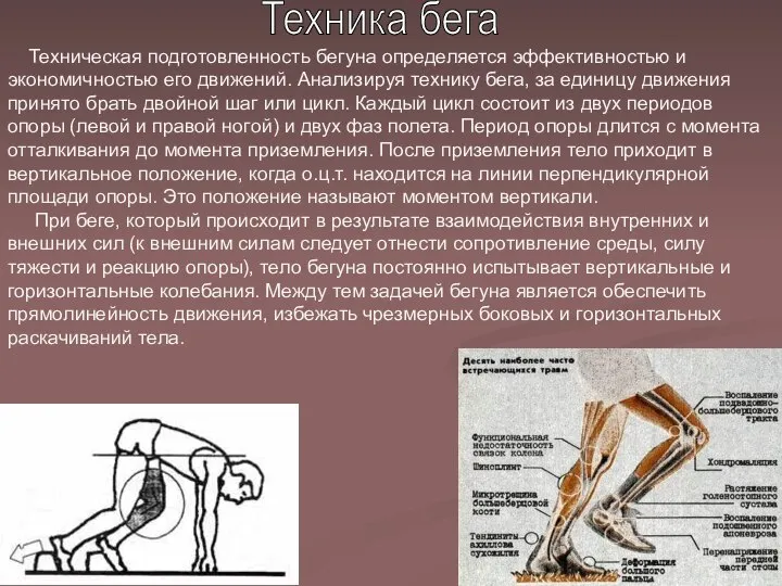 Техника бега Техническая подготовленность бегуна определяется эффективностью и экономичностью его движений.