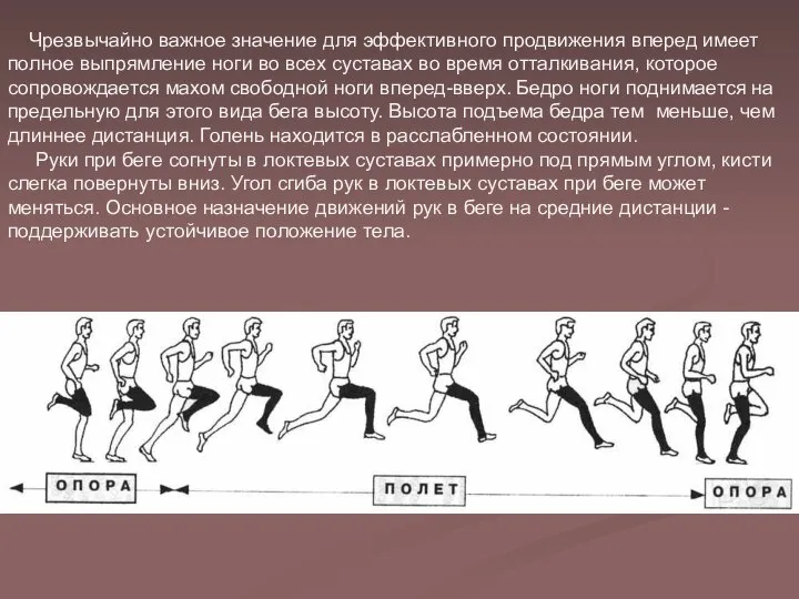 Чрезвычайно важное значение для эффективного продвижения вперед имеет полное выпрямление ноги