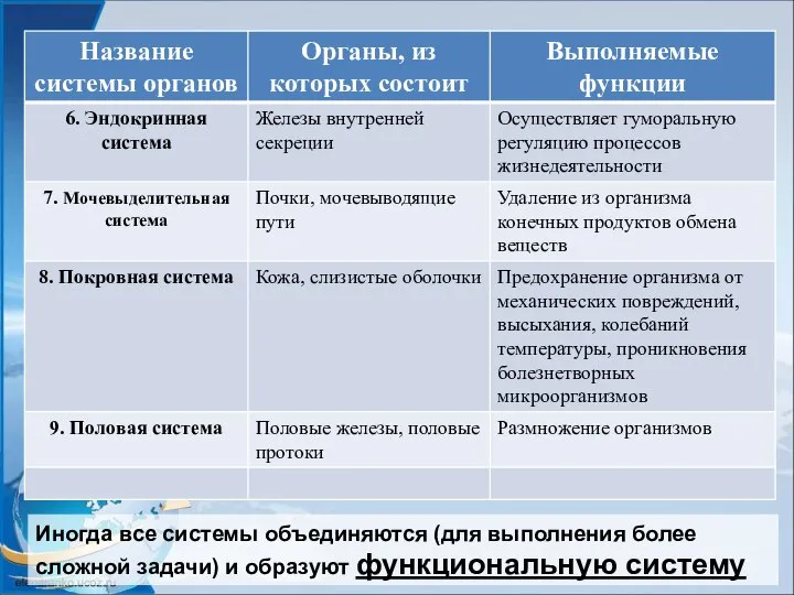 Иногда все системы объединяются (для выполнения более сложной задачи) и образуют функциональную систему