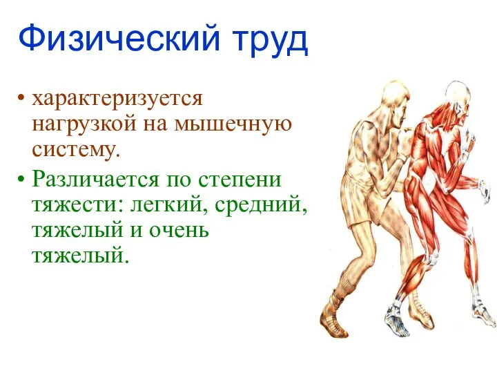 Физический труд характеризуется нагрузкой на мышечную систему. Различается по степени тяжести: