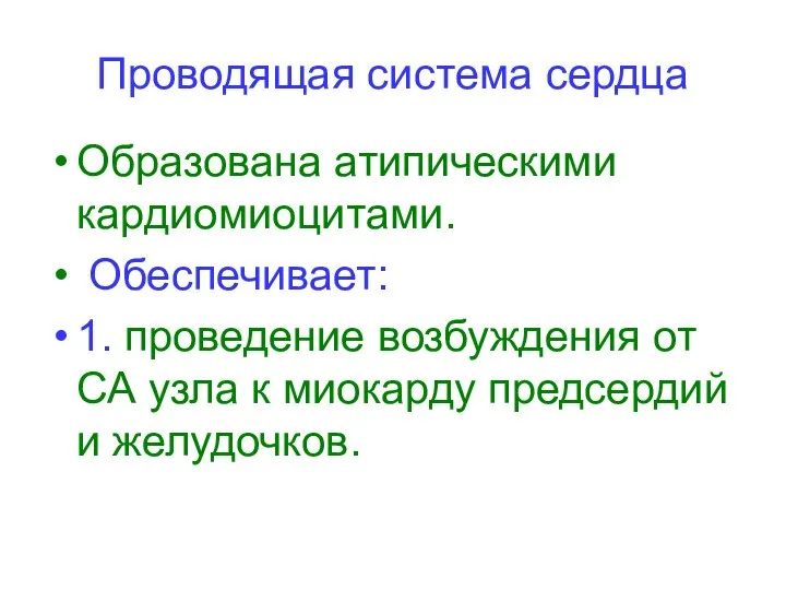 Проводящая система сердца Образована атипическими кардиомиоцитами. Обеспечивает: 1. проведение возбуждения от