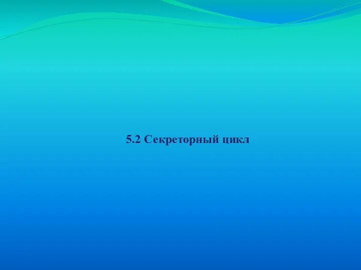 5.2 Секреторный цикл