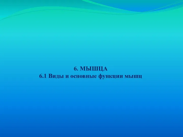 6. МЫШЦА 6.1 Виды и основные функции мышц