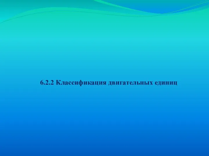 6.2.2 Классификация двигательных единиц