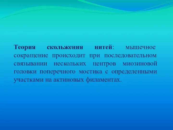 Теория скольжения нитей: мышечное сокращение происходит при последовательном связывании нескольких центров