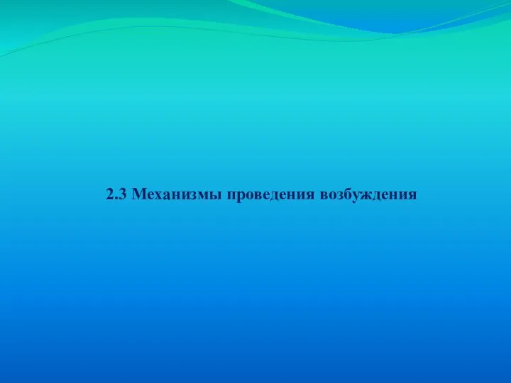 2.3 Механизмы проведения возбуждения