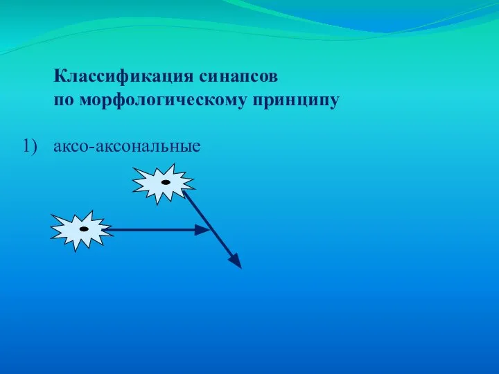 Классификация синапсов по морфологическому принципу аксо-аксональные