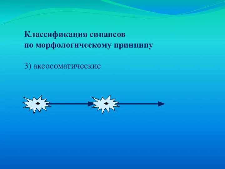 Классификация синапсов по морфологическому принципу 3) аксосоматические