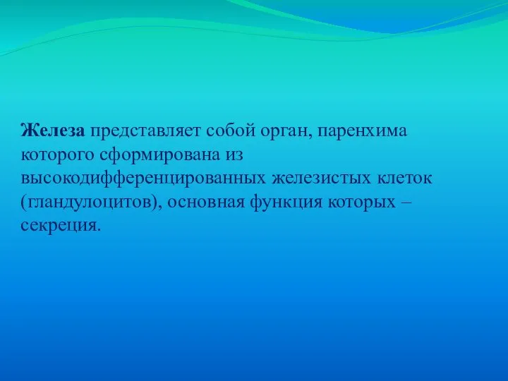 Железа представляет собой орган, паренхима которого сформирована из высокодифференцированных железистых клеток