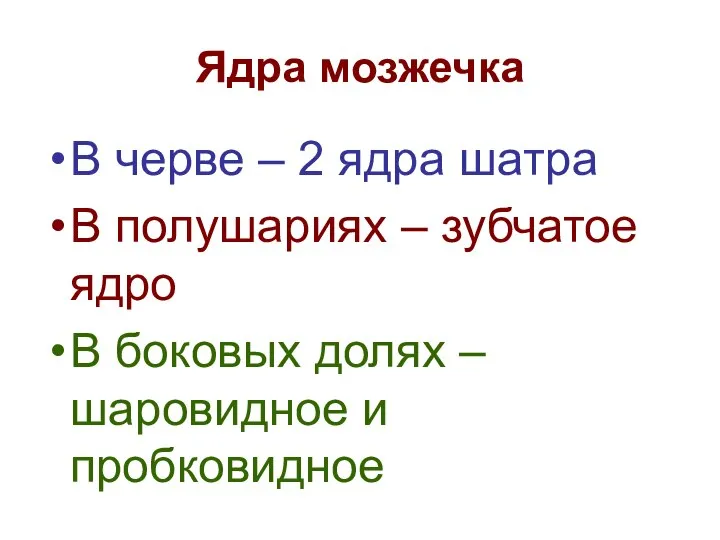 Ядра мозжечка В черве – 2 ядра шатра В полушариях –