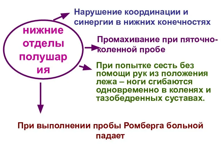 нижние отделы полушария Нарушение координации и синергии в нижних конечностях Промахивание