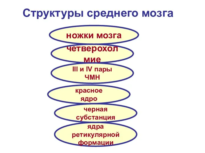 ножки мозга четверохолмие III и IV пары ЧМН красное ядро черная