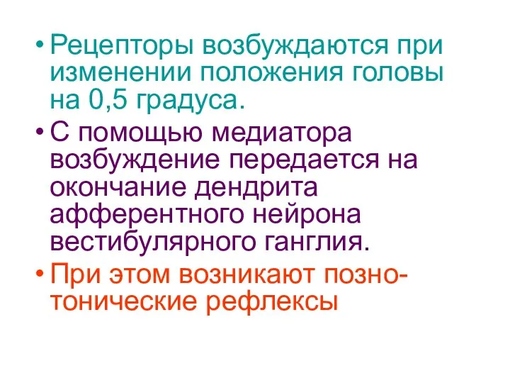 Рецепторы возбуждаются при изменении положения головы на 0,5 градуса. С помощью