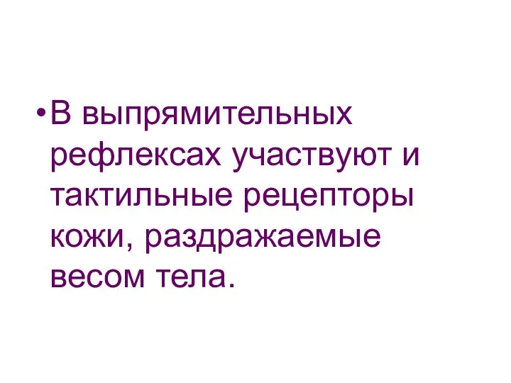 В выпрямительных рефлексах участвуют и тактильные рецепторы кожи, раздражаемые весом тела.