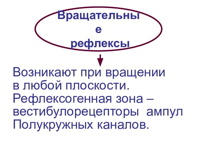 Вращательные рефлексы Возникают при вращении в любой плоскости. Рефлексогенная зона – вестибулорецепторы ампул Полукружных каналов.