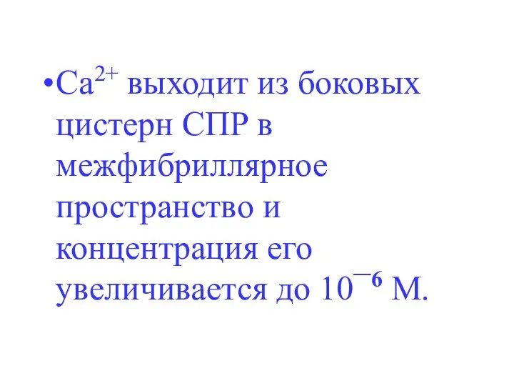 Са2+ выходит из боковых цистерн СПР в межфибриллярное пространство и концентрация его увеличивается до 10¯6 М.