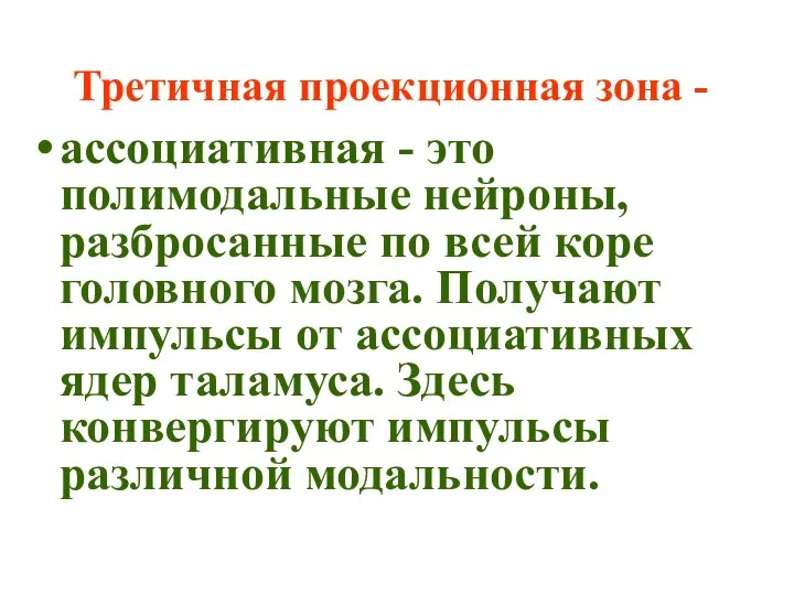 Третичная проекционная зона - ассоциативная - это полимодальные нейроны, разбросанные по