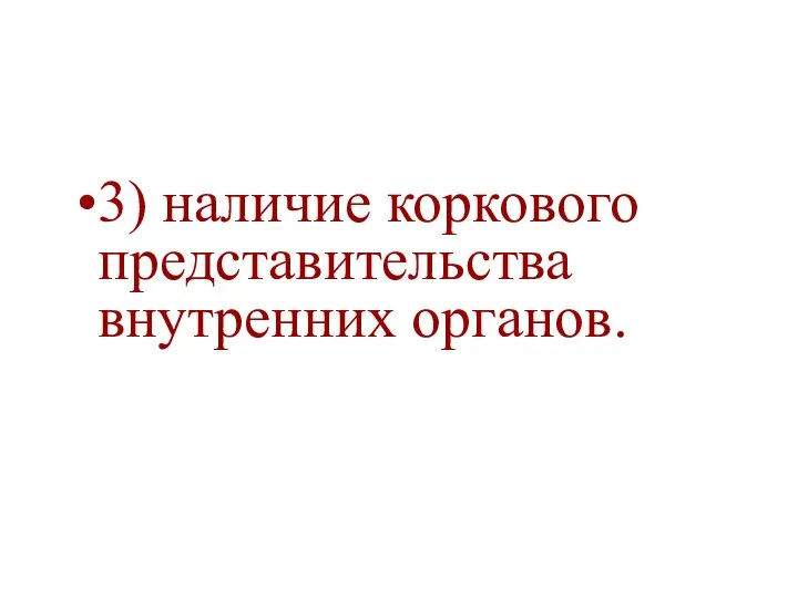 3) наличие коркового представительства внутренних органов.