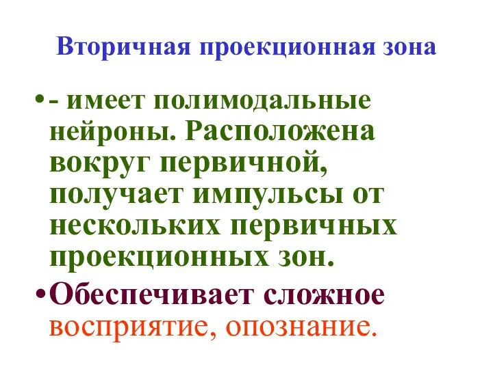 Вторичная проекционная зона - имеет полимодальные нейроны. Расположена вокруг первичной, получает