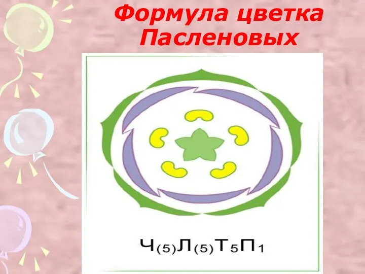 Формула цветка Пасленовых