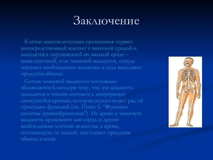 Заключение Клетки многоклеточных организмов теряют непосредственный контакт с внешней средой и