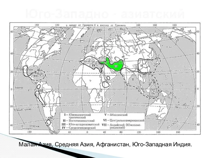 Юго-Западно - азиатский Малая Азия, Средняя Азия, Афганистан, Юго-Западная Индия.