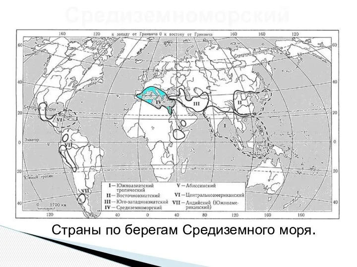 Средиземноморский Страны по берегам Средиземного моря.