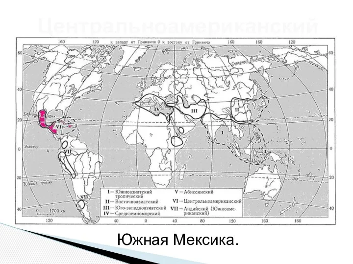 Центральноамериканский Южная Мексика.