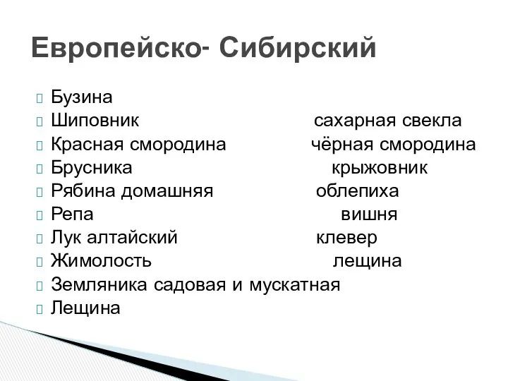 Бузина Шиповник сахарная свекла Красная смородина чёрная смородина Брусника крыжовник Рябина