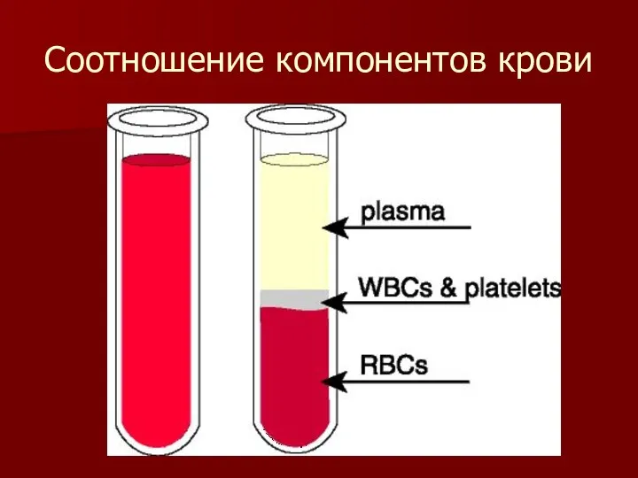 Соотношение компонентов крови