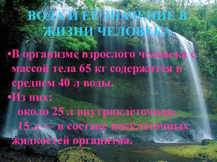 ВОДА И ЕЁ ЗНАЧЕНИЕ В ЖИЗНИ ЧЕЛОВЕКА В организме взрослого человека