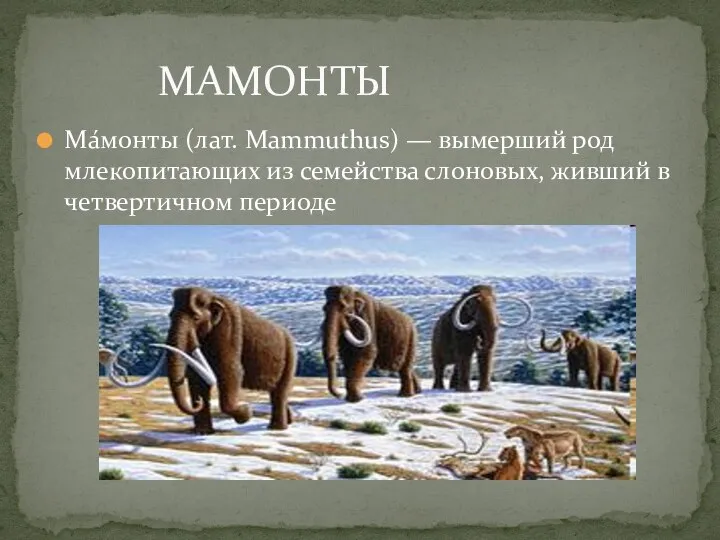 Ма́монты (лат. Mammuthus) — вымерший род млекопитающих из семейства слоновых, живший в четвертичном периоде МАМОНТЫ