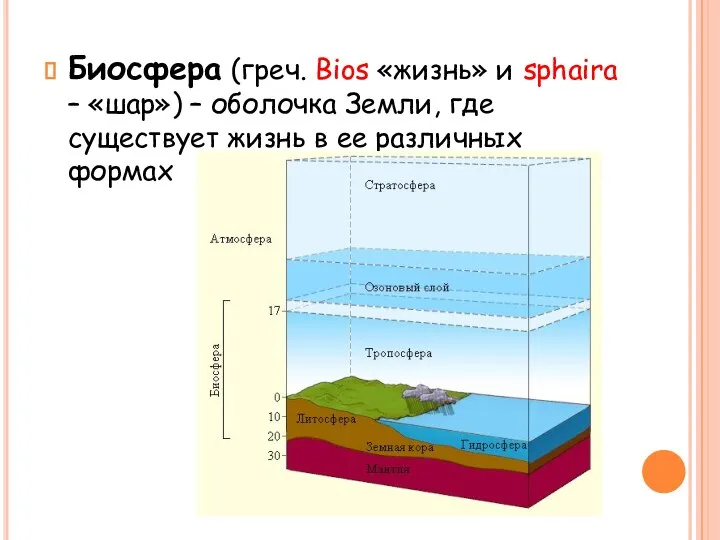 Биосфера (греч. Bios «жизнь» и sphaira – «шар») – оболочка Земли,