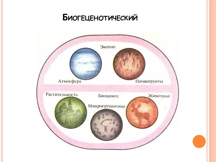 Биогеценотический